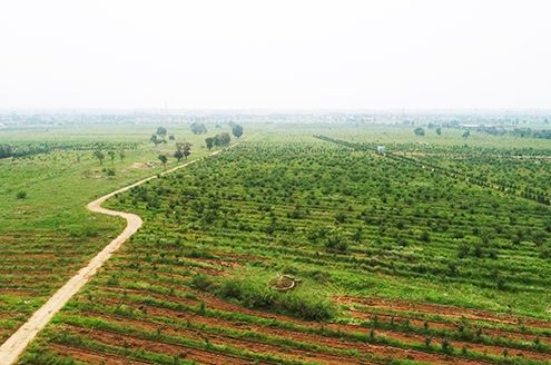 果园基地